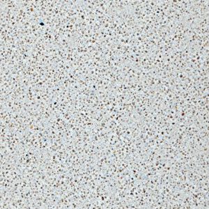 Warm beige quartz with small grains